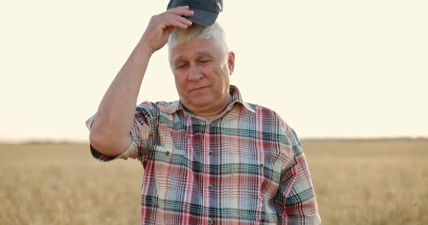 Щасливий чоловік у сорочці, що стоїть на полі золотої пшениці на заході сонця. Фермер одягає шапку і позує — стокове відео