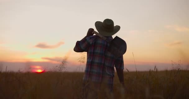 Granjero agrónomo caminando a través de campo de trigo maduro al atardecer. Trabajador sosteniendo pala tocando espigas — Vídeo de stock