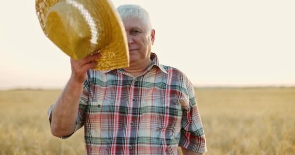 Фермер в солом'яному капелюсі, що стоїть на жовтому пшеничному полі на заході літнього дня і насолоджується врожаєм — стокове відео