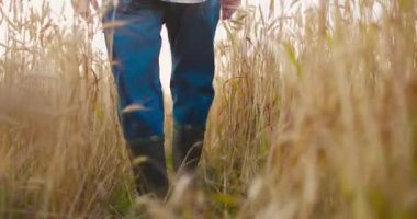 Çek gömlekli, kot pantolonlu ve siyah lastik çizmeli bir adam sarı buğday tarlasında yürüyor.