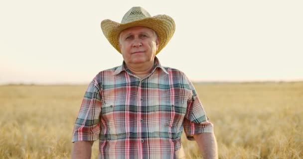 Feliz granjero en sombrero de paja de pie en el campo de trigo al atardecer, cruzando sus brazos en el pecho y sonriendo — Vídeos de Stock