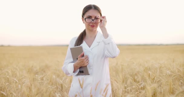 Agronomin arbeitet im Weizenfeld mit digitalem Tablet.Frau im weißen Mantel setzt Brille auf — Stockvideo