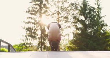 Sabahları şehir parkında yoga antrenmanı yapan bir sporcu. Sırt üstü uzanıp öne eğik poz veren bir adam.