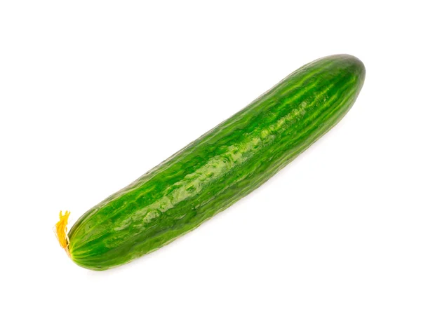 Cucumber — Stock Photo, Image