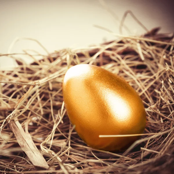 Gold Egg — Stock Photo, Image