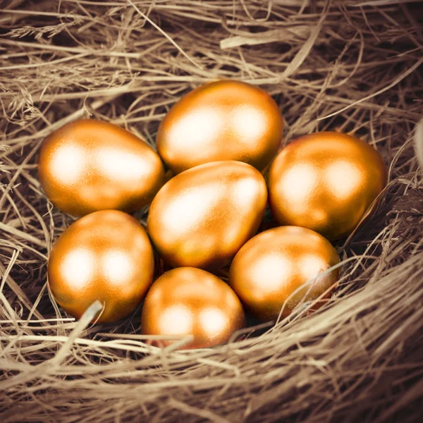 Gold Eggs — Stock Photo, Image