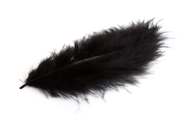 Black feather — Stock Photo, Image