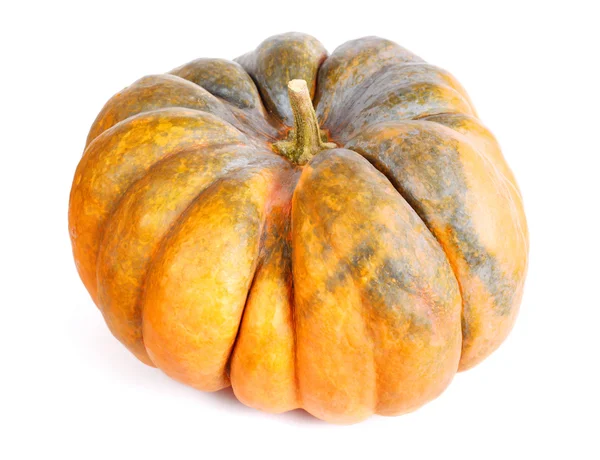 Calabaza —  Fotos de Stock