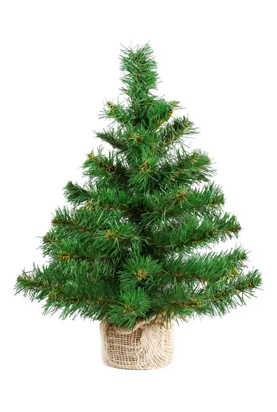 Christmas tree — Stock Photo, Image