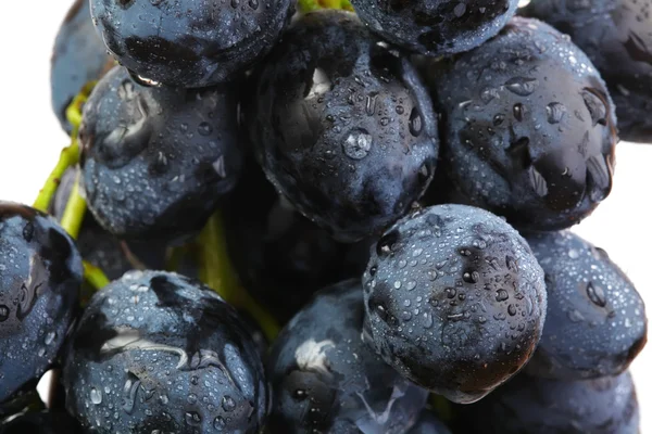 Grapes — Stock Photo, Image