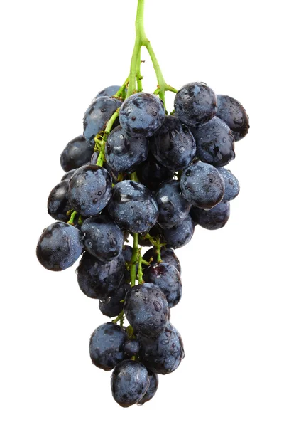 Uvas — Foto de Stock