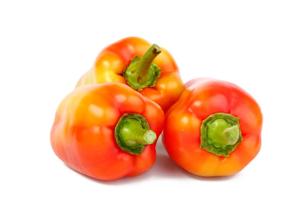 Peper — Stockfoto