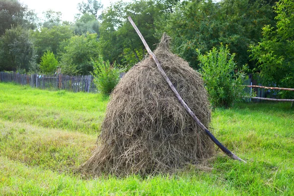 Stack of hay Stock Photo