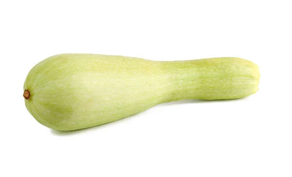 Squashes — Stock fotografie