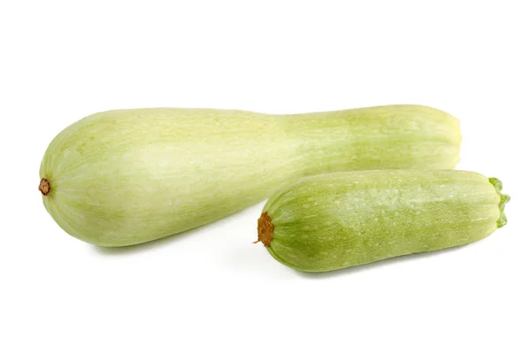 Squashes — Stock Photo, Image