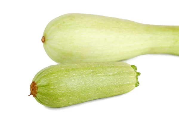 Squashes — Stock Photo, Image