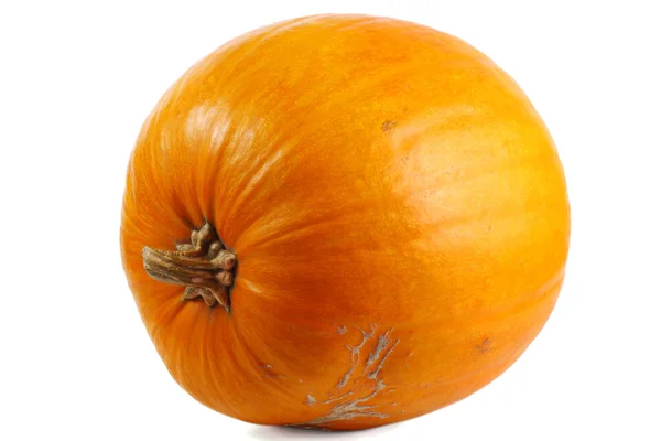 Ripe pumpkin isolated — Stock Photo, Image