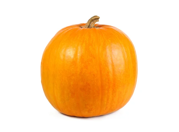 Calabaza madura aislada — Foto de Stock