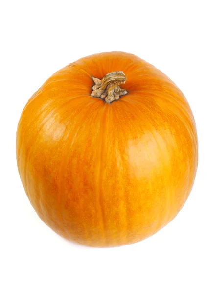 Calabaza madura aislada — Foto de Stock