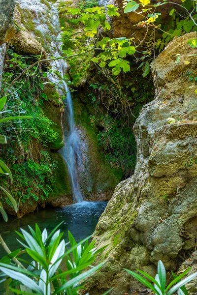 Una pequeña cascada hermosa con hojas verdes. — Foto de Stock