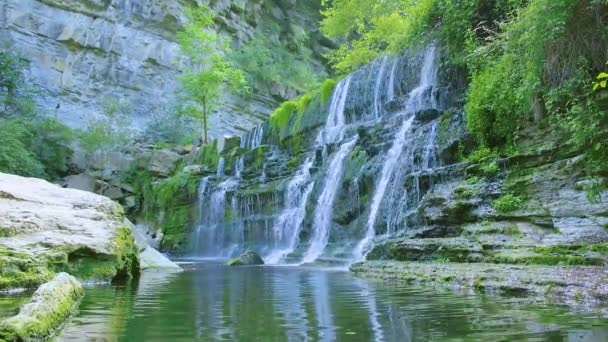 青い水と木々に囲まれた森の中の大きな美しい滝. — ストック動画