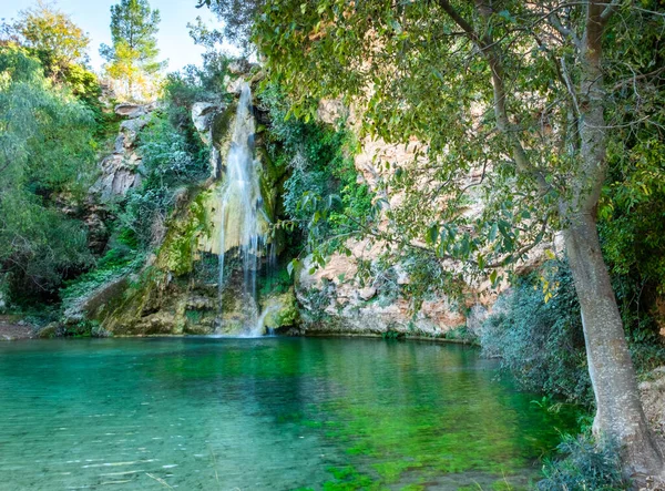 Маленький красивый водопад с зелеными листьями. — стоковое фото