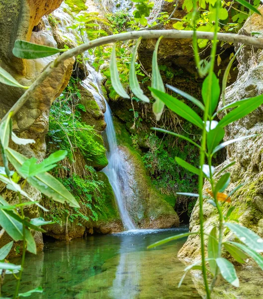 Маленький красивый водопад с зелеными листьями. — стоковое фото