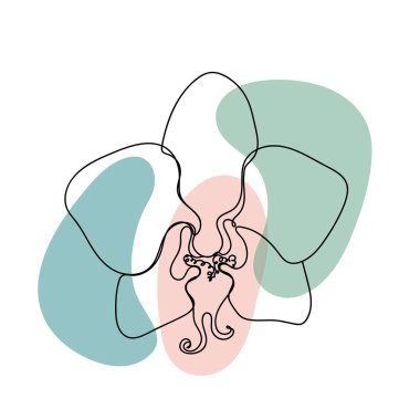 Beyaz arkaplanda doğrusal bir şekilde çiçek.