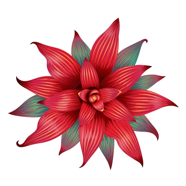 Vacker röd tropisk blomma isolerad på vit. — Stock vektor