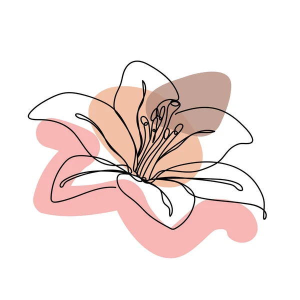 Blume im linearen Stil auf weißem Hintergrund. — Stockvektor