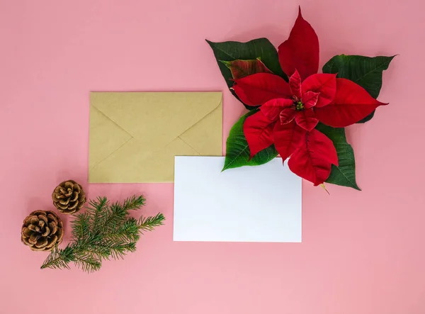 ピンクの背景に封筒とクリスマスの装飾. — ストック写真