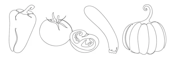Conjunto de legumes em um estilo linear desenhado à mão. — Vetor de Stock