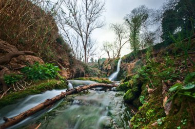 Mavi suları ve ağaçları olan bir ormanda büyük, güzel bir şelale..