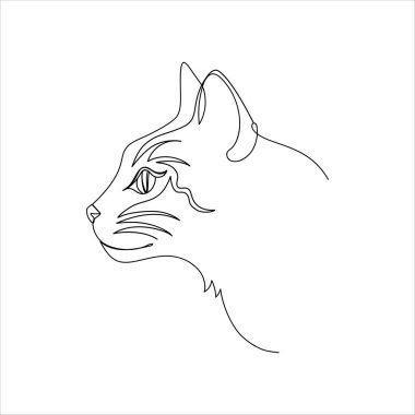 Modern bir kedi portresi..