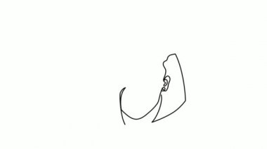 Modern bir kadın portresi..