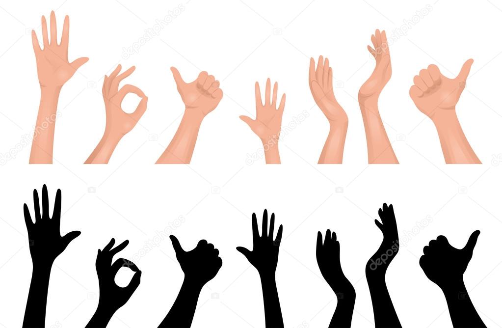 Set of human hands. Isolated on white.
