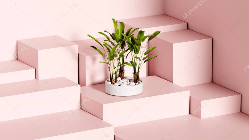 Palm plant in a flowerpot on a pink stand from cubes, web template creative presentation, 3d rendering