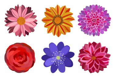 Altı güzel çiçekler