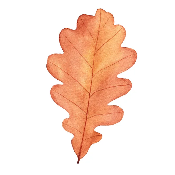 Watercolor Autumn Oak Leaf Hand Drawn Illustration Isolated White Background — Stock Photo, Image