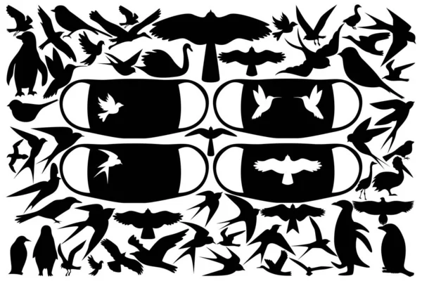医療用マスクなどにプリントする鳥のシルエットの巨大なセット 世界中の様々な鳥たち ベクターイラスト — ストックベクタ