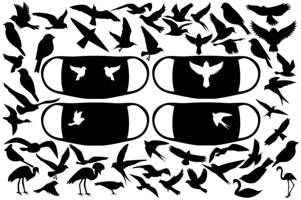 医療用マスクなどにプリントする鳥のシルエットの巨大なセット 世界中の様々な鳥たち ベクターイラスト — ストックベクタ