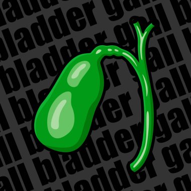 Image of a human organ for medical websites, flyers, posters, and more. Gallbladder. Vector image. clipart
