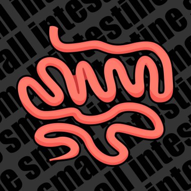 Tıbbi web siteleri, el ilanları, posterler ve daha fazlası için bir insan organı resmi. Bağırsak. Vektör resmi.