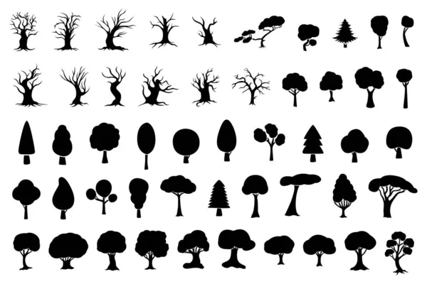 Grande Conjunto Silhuetas Árvores Diferentes Ilustração Vetorial —  Vetores de Stock