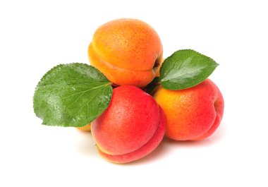  Kayısı yeşil yaprakları ile.