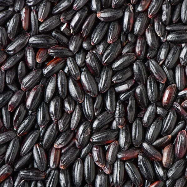 Close up of black rice background — Stock Photo, Image