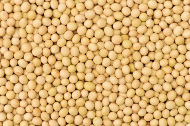 Kurutulmuş soya fasulye yığını