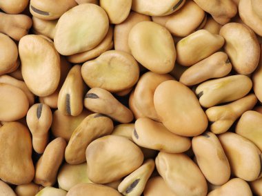 Dekoratif döşeme ile arka plan 