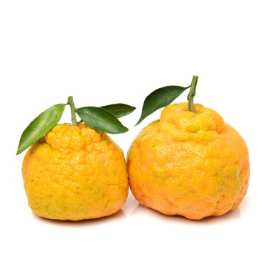 bir beyaz çirkin mandalina 