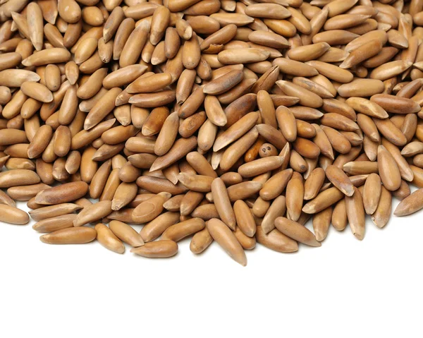 Pilha de sementes de girassol descascada em — Fotografia de Stock